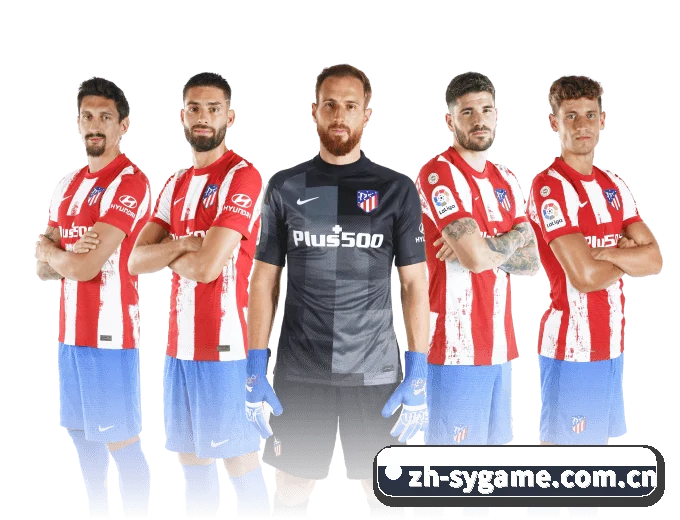了解平台 - 体育资讯内容服务